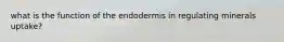 what is the function of the endodermis in regulating minerals uptake?