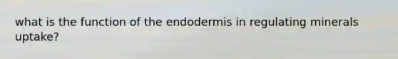 what is the function of the endodermis in regulating minerals uptake?