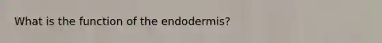 What is the function of the endodermis?