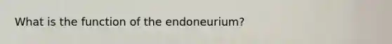 What is the function of the endoneurium?