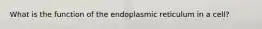 What is the function of the endoplasmic reticulum in a cell?