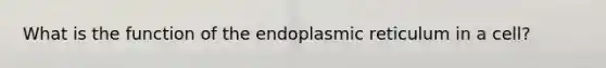 What is the function of the endoplasmic reticulum in a cell?