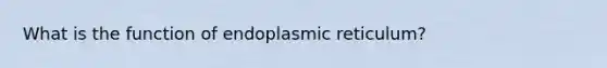 What is the function of endoplasmic reticulum?