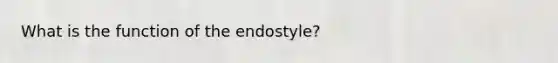 What is the function of the endostyle?