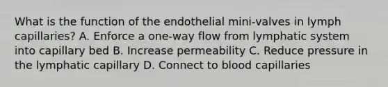 What is the function of the endothelial mini-valves in lymph capillaries? A. Enforce a one-way flow from lymphatic system into capillary bed B. Increase permeability C. Reduce pressure in the lymphatic capillary D. Connect to blood capillaries