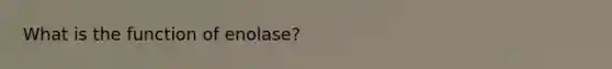 What is the function of enolase?