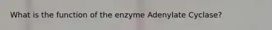 What is the function of the enzyme Adenylate Cyclase?