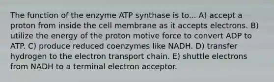 The function of the enzyme ATP synthase is to... A) accept a proton from inside the cell membrane as it accepts electrons. B) utilize the energy of the proton motive force to convert ADP to ATP. C) produce reduced coenzymes like NADH. D) transfer hydrogen to the electron transport chain. E) shuttle electrons from NADH to a terminal electron acceptor.