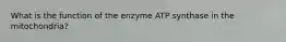 What is the function of the enzyme ATP synthase in the mitochondria?