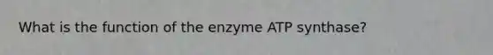 What is the function of the enzyme ATP synthase?