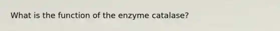 What is the function of the enzyme catalase?