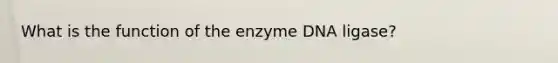 What is the function of the enzyme DNA ligase?