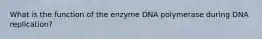 What is the function of the enzyme DNA polymerase during DNA replication?