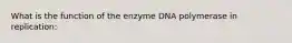 What is the function of the enzyme DNA polymerase in replication: