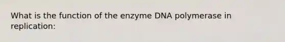 What is the function of the enzyme DNA polymerase in replication: