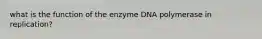 what is the function of the enzyme DNA polymerase in replication?