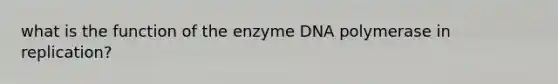 what is the function of the enzyme DNA polymerase in replication?