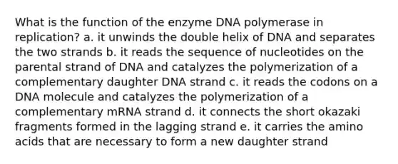 What is the function of the enzyme DNA polymerase in replication? a. it unwinds the double helix of DNA and separates the two strands b. it reads the sequence of nucleotides on the parental strand of DNA and catalyzes the polymerization of a complementary daughter DNA strand c. it reads the codons on a DNA molecule and catalyzes the polymerization of a complementary mRNA strand d. it connects the short okazaki fragments formed in the lagging strand e. it carries the amino acids that are necessary to form a new daughter strand