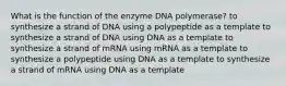 What is the function of the enzyme DNA polymerase? to synthesize a strand of DNA using a polypeptide as a template to synthesize a strand of DNA using DNA as a template to synthesize a strand of mRNA using mRNA as a template to synthesize a polypeptide using DNA as a template to synthesize a strand of mRNA using DNA as a template