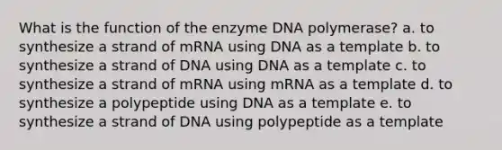 What is the function of the enzyme DNA polymerase? a. to synthesize a strand of mRNA using DNA as a template b. to synthesize a strand of DNA using DNA as a template c. to synthesize a strand of mRNA using mRNA as a template d. to synthesize a polypeptide using DNA as a template e. to synthesize a strand of DNA using polypeptide as a template