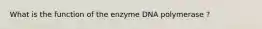 What is the function of the enzyme DNA polymerase ?