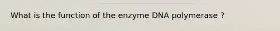 What is the function of the enzyme DNA polymerase ?