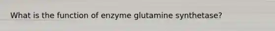 What is the function of enzyme glutamine synthetase?