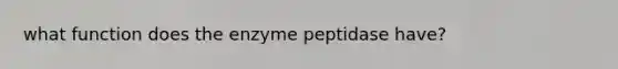 what function does the enzyme peptidase have?