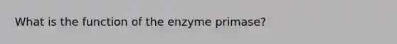 What is the function of the enzyme primase?