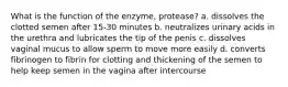 What is the function of the enzyme, protease? a. dissolves the clotted semen after 15-30 minutes b. neutralizes urinary acids in the urethra and lubricates the tip of the penis c. dissolves vaginal mucus to allow sperm to move more easily d. converts fibrinogen to fibrin for clotting and thickening of the semen to help keep semen in the vagina after intercourse