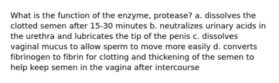 What is the function of the enzyme, protease? a. dissolves the clotted semen after 15-30 minutes b. neutralizes urinary acids in the urethra and lubricates the tip of the penis c. dissolves vaginal mucus to allow sperm to move more easily d. converts fibrinogen to fibrin for clotting and thickening of the semen to help keep semen in the vagina after intercourse