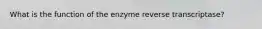 What is the function of the enzyme reverse transcriptase?