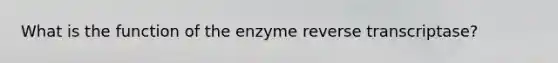 What is the function of the enzyme reverse transcriptase?