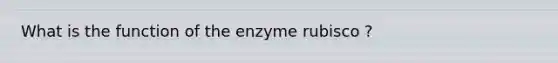 What is the function of the enzyme rubisco ?