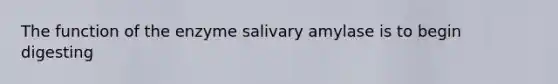 The function of the enzyme salivary amylase is to begin digesting