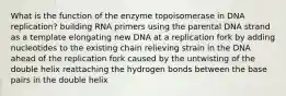 What is the function of the enzyme topoisomerase in DNA replication? building RNA primers using the parental DNA strand as a template elongating new DNA at a replication fork by adding nucleotides to the existing chain relieving strain in the DNA ahead of the replication fork caused by the untwisting of the double helix reattaching the hydrogen bonds between the base pairs in the double helix