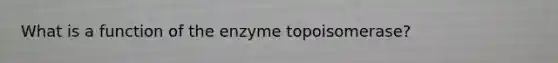 What is a function of the enzyme topoisomerase?