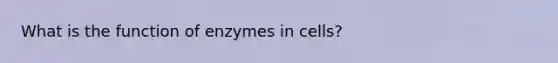 What is the function of enzymes in cells?