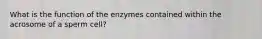 What is the function of the enzymes contained within the acrosome of a sperm cell?