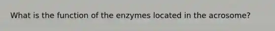 What is the function of the enzymes located in the acrosome?