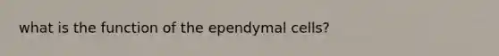 what is the function of the ependymal cells?