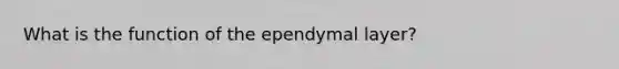 What is the function of the ependymal layer?