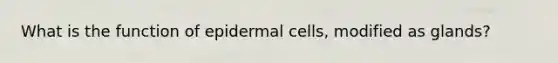 What is the function of epidermal cells, modified as glands?