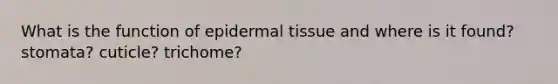 What is the function of epidermal tissue and where is it found? stomata? cuticle? trichome?