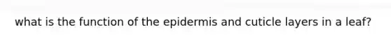 what is the function of <a href='https://www.questionai.com/knowledge/kBFgQMpq6s-the-epidermis' class='anchor-knowledge'>the epidermis</a> and cuticle layers in a leaf?