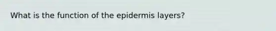 What is the function of <a href='https://www.questionai.com/knowledge/kBFgQMpq6s-the-epidermis' class='anchor-knowledge'>the epidermis</a> layers?