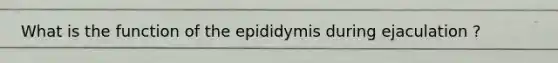 What is the function of the epididymis during ejaculation ?