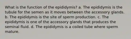 What is the function of the epididymis? a. The epididymis is the tubule for the semen as it moves between the accessory glands. b. The epididymis is the site of sperm production. c. The epididymis is one of the accessory glands that produces the seminal fluid. d. The epididymis is a coiled tube where sperm mature.