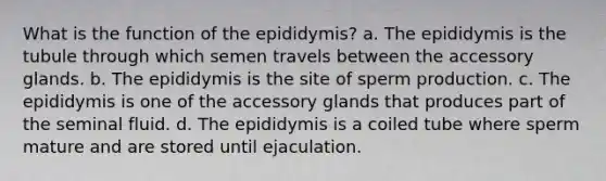 What is the function of the epididymis? a. The epididymis is the tubule through which semen travels between the accessory glands. b. The epididymis is the site of sperm production. c. The epididymis is one of the accessory glands that produces part of the seminal fluid. d. The epididymis is a coiled tube where sperm mature and are stored until ejaculation.