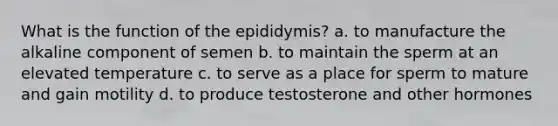 What is the function of the epididymis? a. to manufacture the alkaline component of semen b. to maintain the sperm at an elevated temperature c. to serve as a place for sperm to mature and gain motility d. to produce testosterone and other hormones